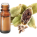 FT-Plante HE-Cardamome-removebg-preview