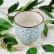 T374681_Boisson-fortifiante-hiver_web.webp