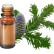 FT-Plante HE-Sapin-siberie-removebg-preview