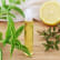 Roll-on « force & energie »