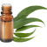 FT-Plante HE-Eucalyptus-radie-removebg-preview
