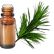 FT-Plante HE-Cedre-de-l-Himalaya-removebg-preview