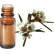 FT-Plante HE-Fragonia-removebg-preview