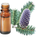 FT-Plante HE-Sapin-baumier-removebg-preview