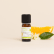 01608-HE petitgrain bigarade BIO 10 mL-8193