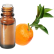 FT-Plante HE-Petitgrain-Clementinier-removebg-preview