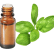 FT-Plante HE-Basilic-doux-linalol-removebg-preview