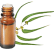 FT-Plante HE-Eucalyptus-cryptone-removebg-preview