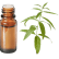 FT-Plante HE-Verveine-odorante-removebg-preview