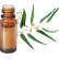 FT-Plante HE-Eucalyptus-citronne-removebg-preview