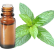 FT-Plante HE-Menthe-citronnee-removebg-preview