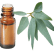FT-Plante HE-Eucalyptus-staigeriana-removebg-preview