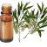 FT-Plante HE-Tea-tree-citronne-removebg-preview