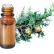 FT-Plante HE-Cypres-Bleu-removebg-preview