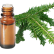 FT-Plante HE-Sapin-pectiné-removebg-preview
