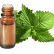 FT-Plante HE-Menthe-Poivree-Provence-removebg-preview