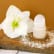 Recette déodorant-crème "fleur de coco"