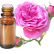 FT-Plante HE-Rose-Damas-removebg-preview