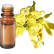 FT-Plante HE-Ylang-ylang-III-removebg-preview