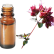 FT-Plante HE-Origan-compact-removebg-preview