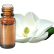 FT-Plante HE-Magnolia-removebg-preview