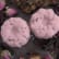N321622E1_bombe-bain_rose-ambre_3_0