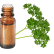 FT-Plante HE-Persil-removebg-preview