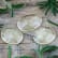 Sucette-hiver-tea-tree-menthe_web.webp