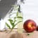 Eau-de-Toilette-pour-elle-Peche-et-Patchouli web