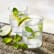 Recette virgin mojito à l’hydrolat de menthe poivrée