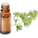 FT-Plante HE-Marjolaine-Sylvestre-removebg-preview