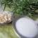 Crème fluide visage "Zéro brillance" Romarin & Riz