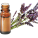 FT-Plante HE-Lavande-fine-Provence-removebg-preview