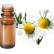 FT-Plante HE-Camomille-allemande-removebg-preview