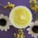 Baume fondant au mimosa pour le visage