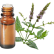 FT-Plante HE-Menthe-verte-removebg-preview