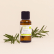 Huile essentielle Romarin a camphre