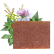 PLP