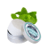 PLP