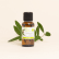 Huile essentielle Eucalyptus globulus