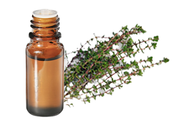 FT-Plante HE-Thym-thymol-removebg-preview