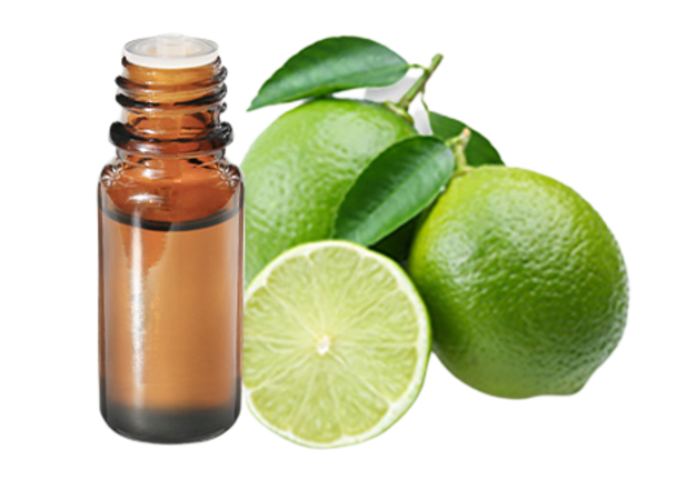 FT-Plante HE-Citron-vert-removebg-preview