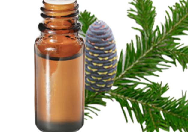 FT-Plante HE-Sapin-siberie-removebg-preview