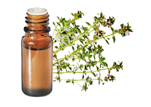 Olio Essenziale Di Timo 30 Ml - Thymus Vulgaris - Puro Naturale Dall'Austria - Per Bagni, Massaggi, Aromaterapia E Cura Della Pelle