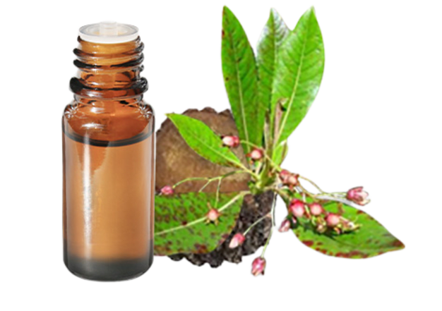 FT-Plante HE-Bois-Rose-removebg-preview