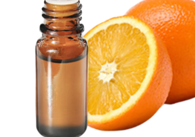 FT-Plante HE-Orange-douce-removebg-preview