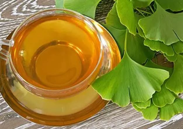 Infusion-Ginkgo-Miel_AdobeStock_97520438_web