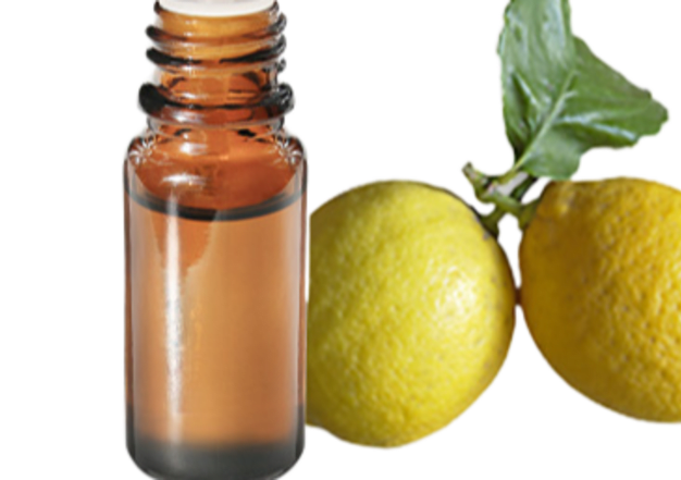 FT-Plante HE-Citron-removebg-preview