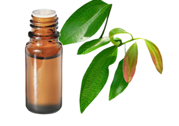 Olio Essenziale Di Cannella Puro 30ml – Cinnamomum Zeylanicum – Per Aromaterapia E Cura Della Pelle