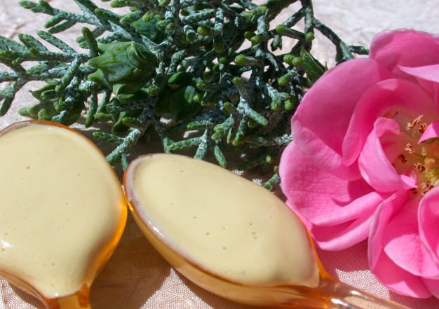 Crème visage cyprès bleu et argousier